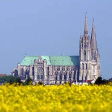 Gîte le ptit Martin - Cathedrale